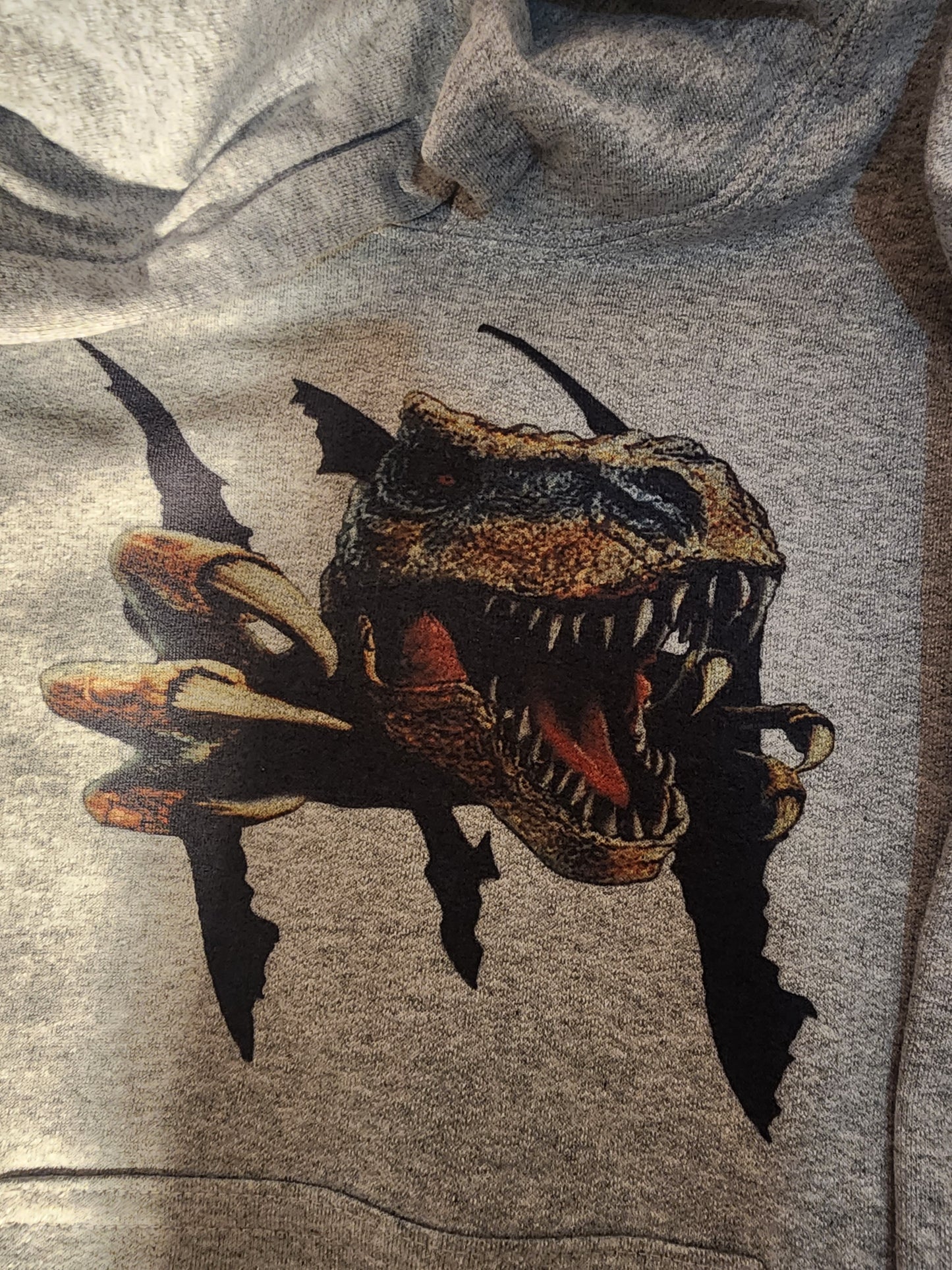 Raptor Hoodie